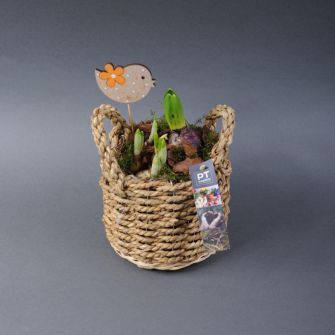 Композиція "Мікс у кошику"