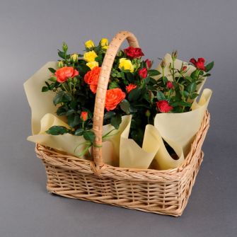 Кошик троянд