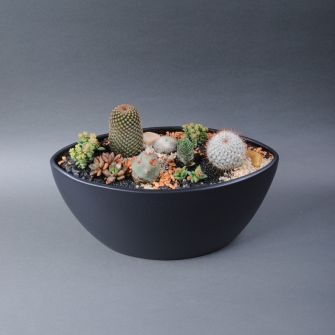 Флорариум сукулентов №6