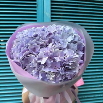 Bouquet of 3 violet Hydrangea