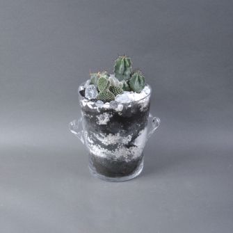 Флорариум из суккулентов №22