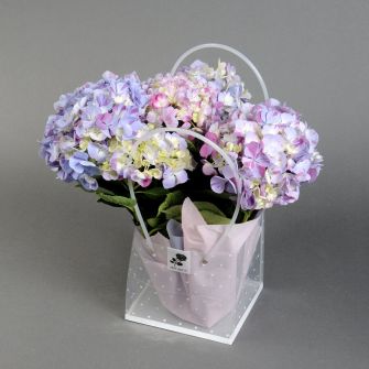 Гортензия в подарочной упаковке