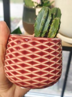 Горщик кераміка Fay Stone