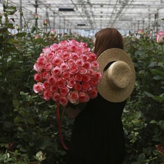 Букет із 51 троянди Джумілія