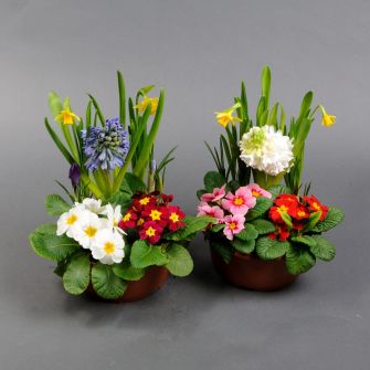 Весенний микс растений