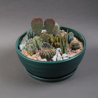 Florarium "Texas Prairie"