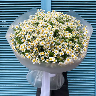 Букет из ромашек Танацетум