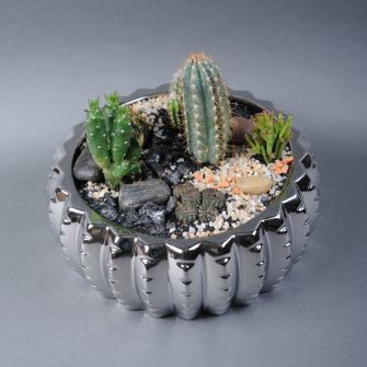 Флорариум сукулентов №10