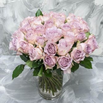 Троянда Меморі Лейн