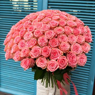 Букет із 101 троянди Софі Лорен