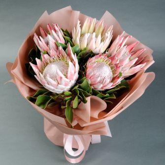 Букет "Королівська протея"