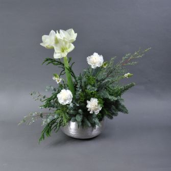 Композиція "Зимовий амариліс"