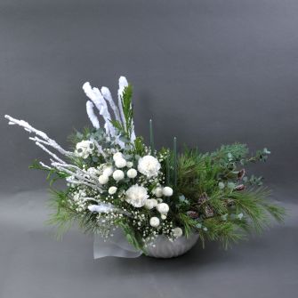 Composition “Snow Symphony”