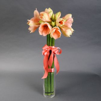 Букет из персиковых амариллисов