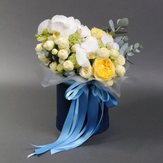 Composition "Citrus"