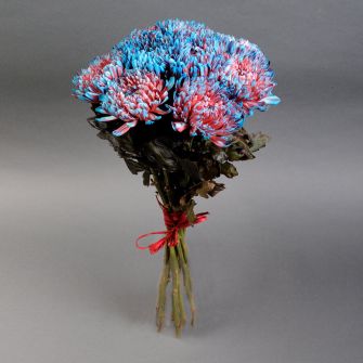 Bouquet of pink-blue chrysanthemums