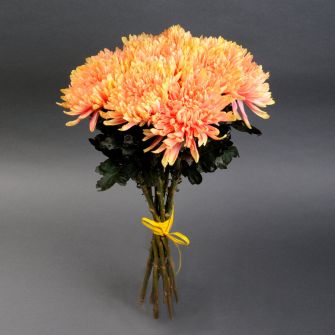 Chrysanthemum bouquet "Sunshine"