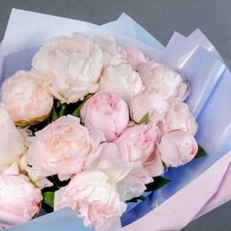 Bouquet of 15 Peonies