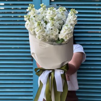 Bouquet of white matiolas