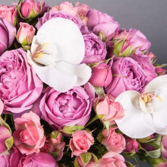 Composition "Raspberry Punch"