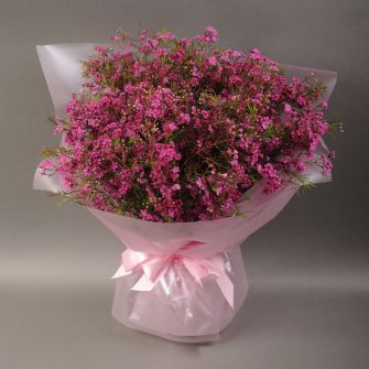 Bouquet of pink Chamelacium