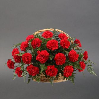Basket of red carnation