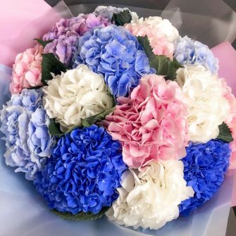 Букет из 15 гортензий "Роскошь"