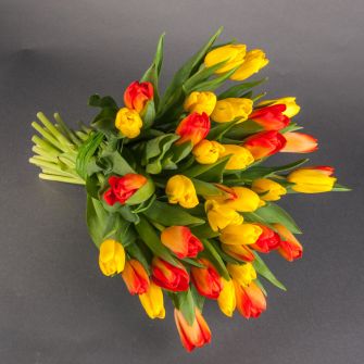 Букет із тюльпанів "Весна"
