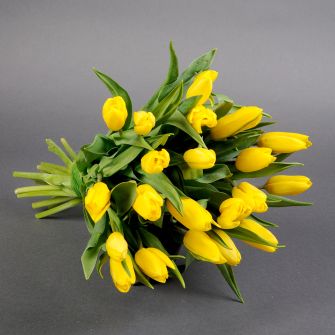 Bouquet of 21 yellow tulips
