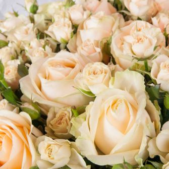 Bouquet of 51 Peach Avalanche and Elena spray roses