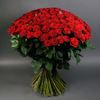 Bouquet of 100 Marichka roses
