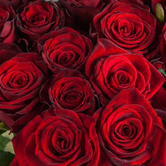 Bouquet of 17 red Grand Prix roses