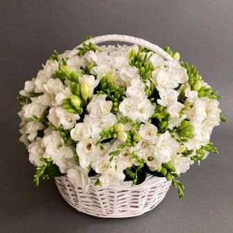 Basket of freesias