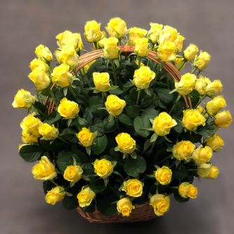 Basket of roses Penny Lane