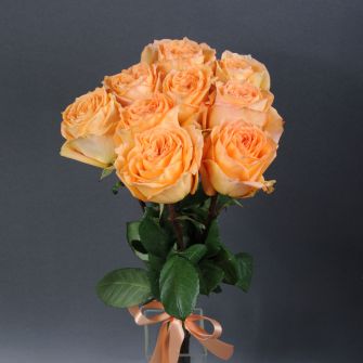 Bouquet of 9 Camel Roses