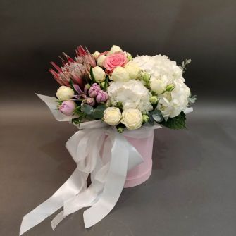 Composition "Gentle cloud"