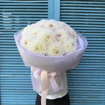 Букет георгин Эвелина