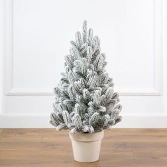 Ялинка лита SG "Лапландська" в горщику 70 см засніжена