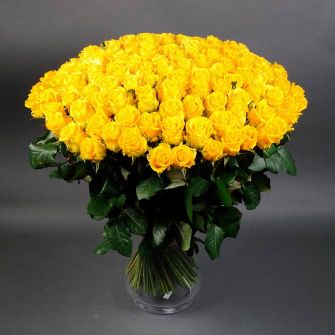 Bouquet of 151 Penny Lane roses