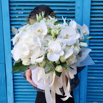 Композиція "Пломбір"