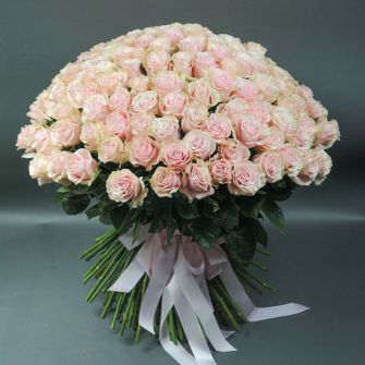 151 Pink Mondial roses