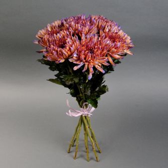 Bouquet of red-purple chrysanthemums