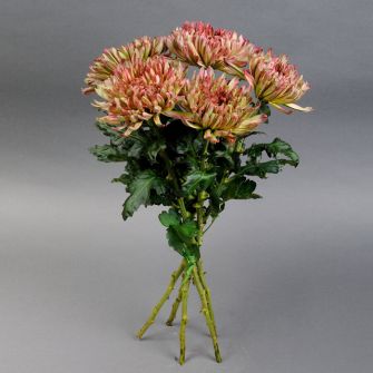 Chrysanthemum bouquet "Sunset"