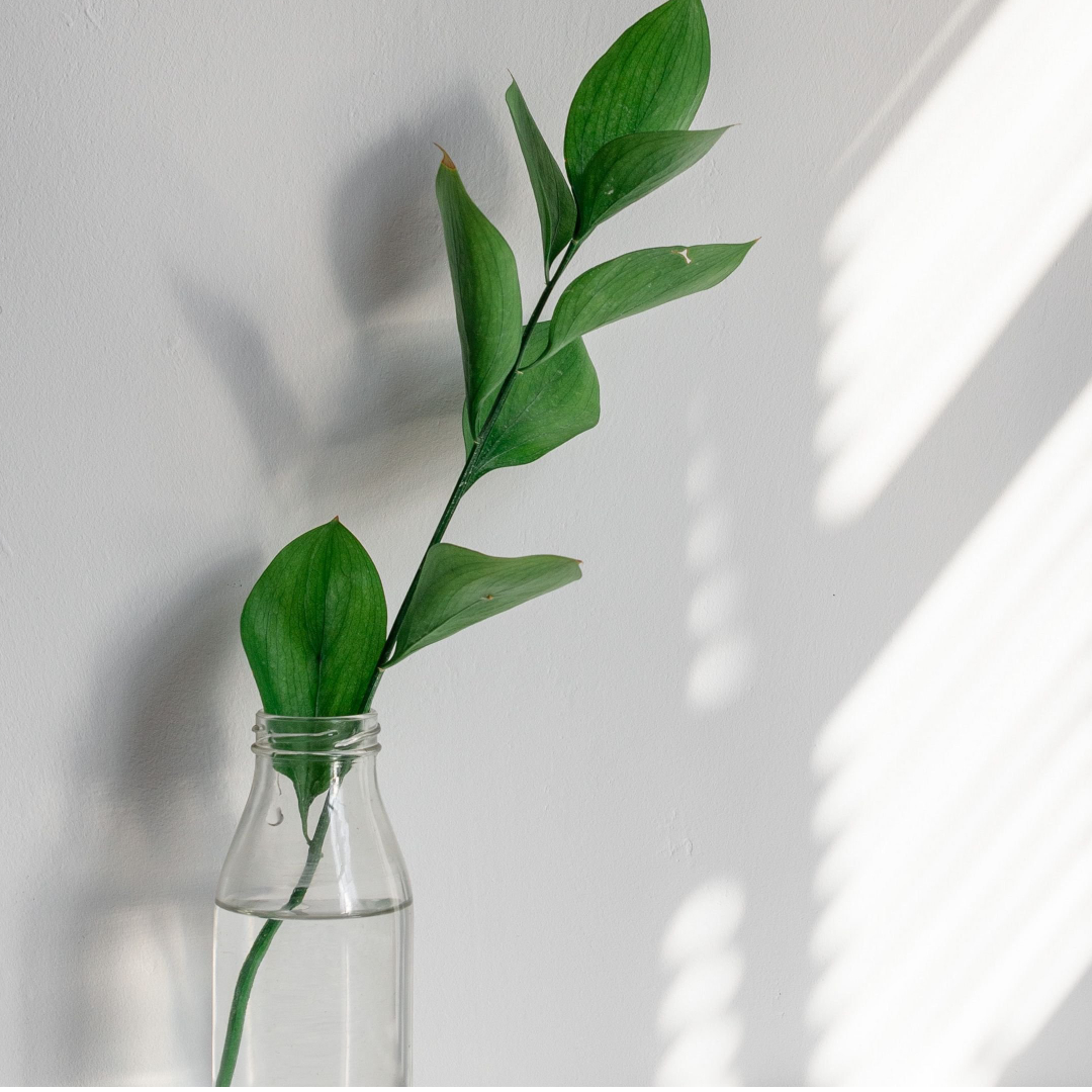 Як вибрати святковий букет на день народження