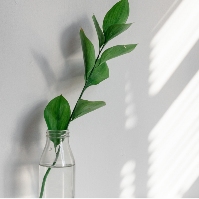 Як вибрати святковий букет на день народження