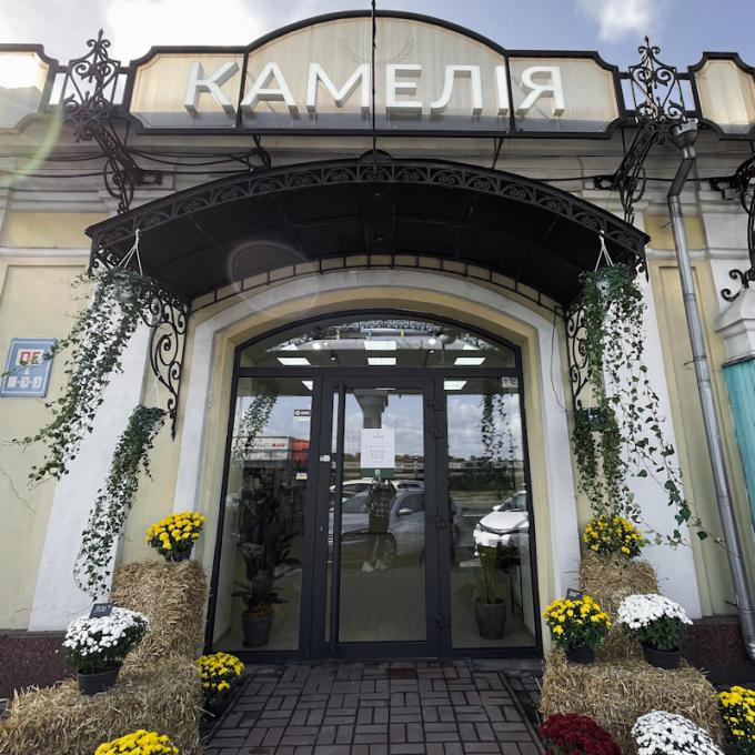 Оптово-роздрібний магазин «Камелія» Поділ