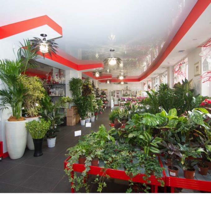 Флористичний салон «Камелія» Дніпровська набережна