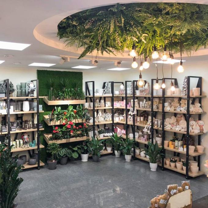 Флористичний салон «Камелія» Антоновича