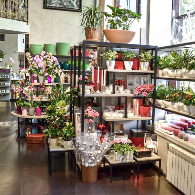 Флористичний салон «Камелія» Феодосійський