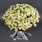 Bouquet of 41 Snow World spray roses - Photo 2